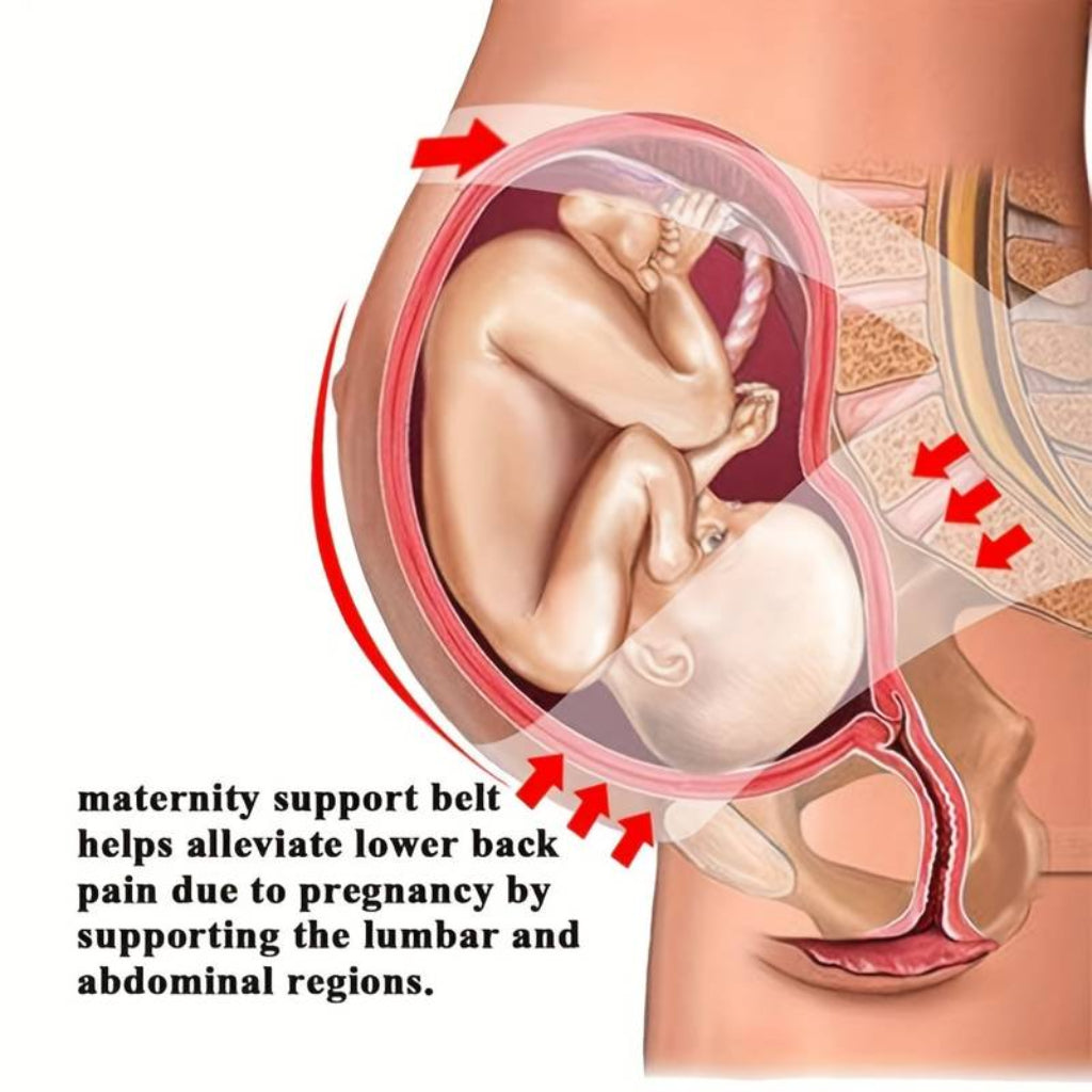 3-in-1 Pregnancy Back Support Belt